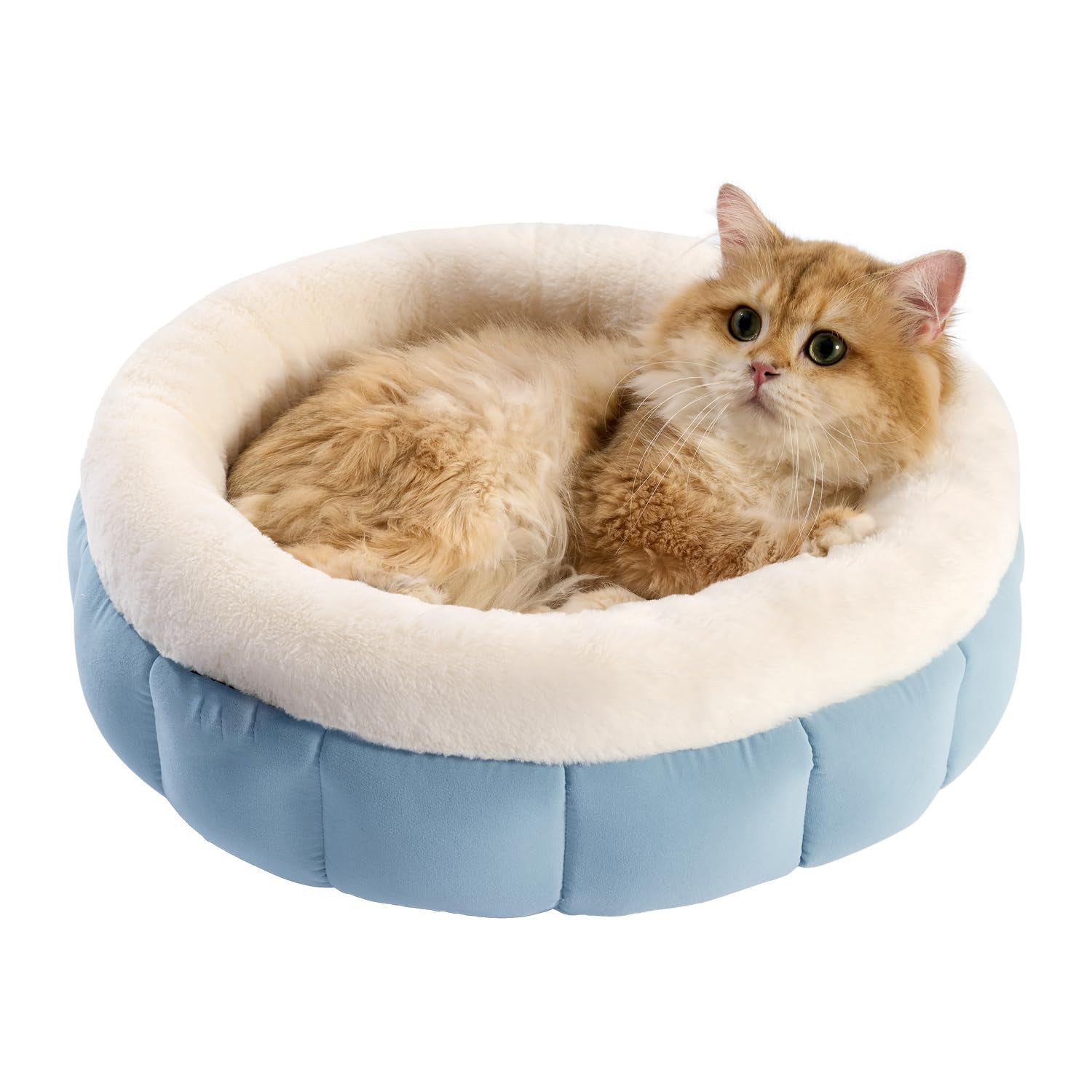 Donut Round Cat Bed