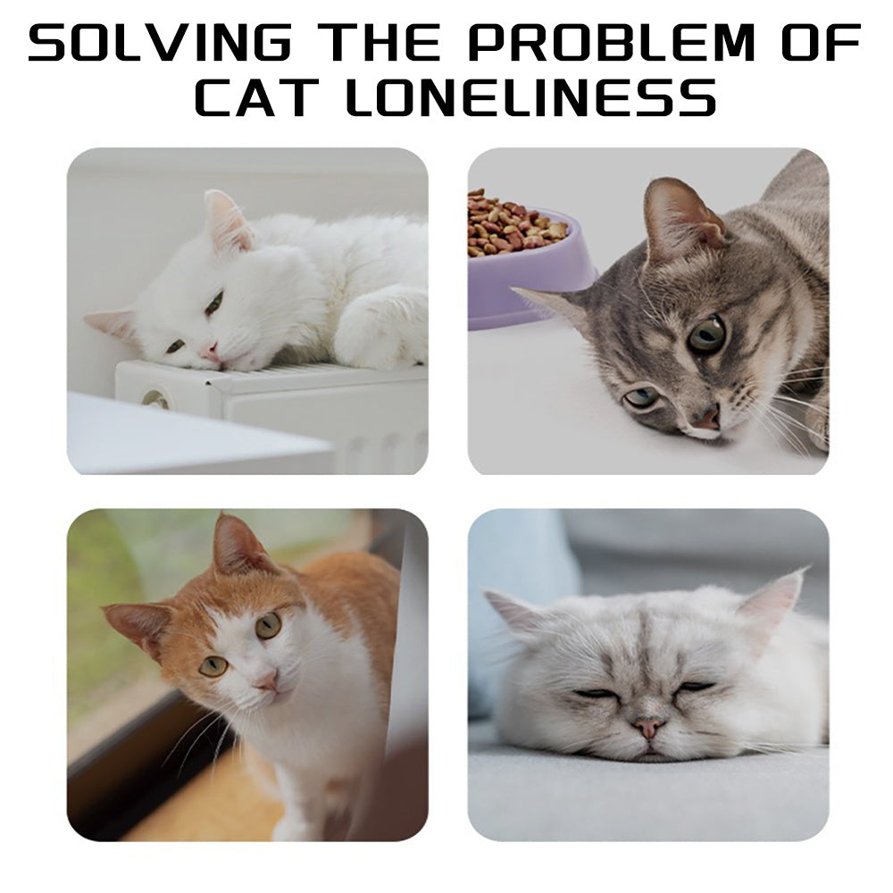 Pet Rope Knots Chew Rope Toy