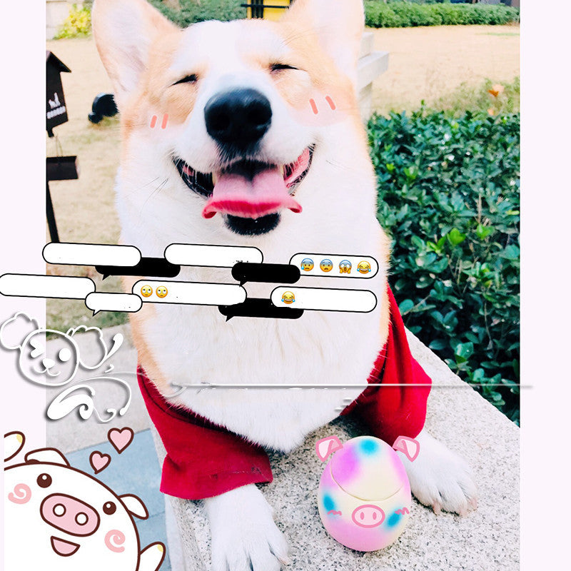 Pet Sounding Dog Latex Sounding Toy