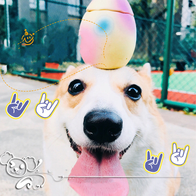 Pet Sounding Dog Latex Sounding Toy