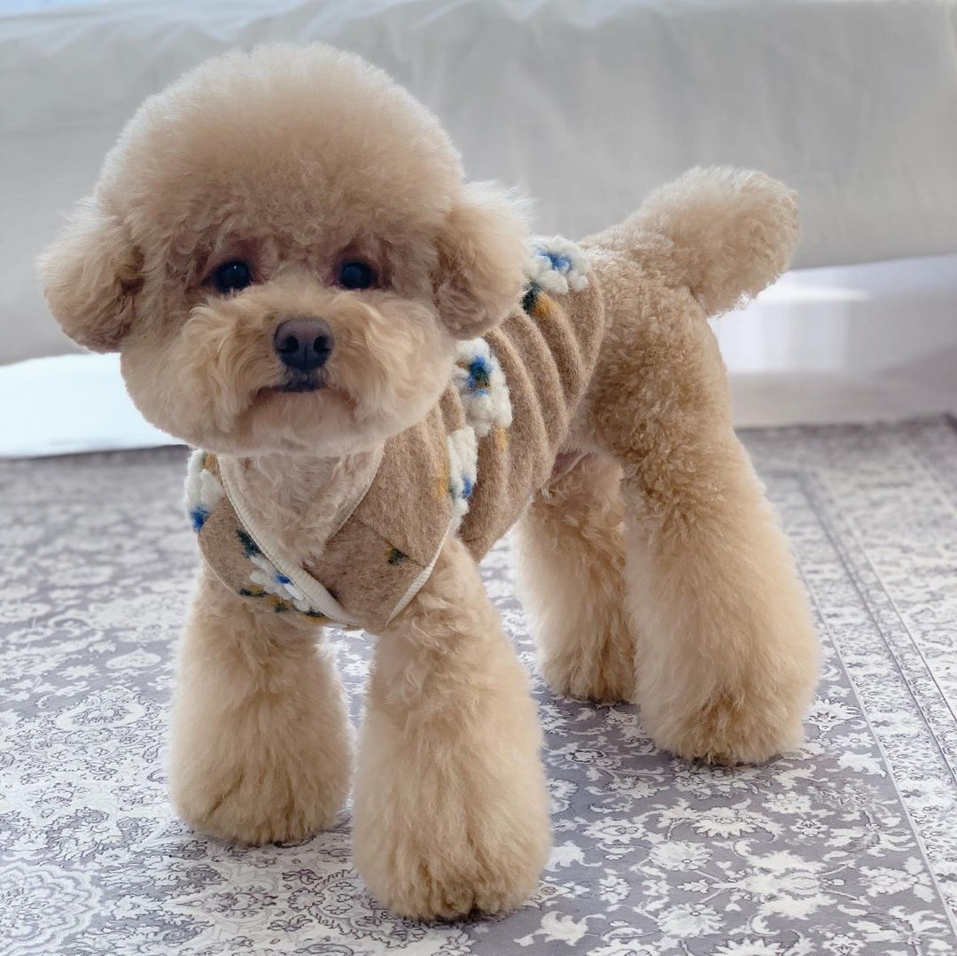 Warm Lamb Woolen Flower Vest Jacket