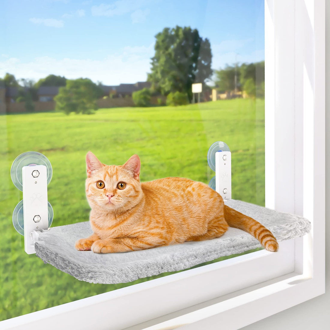 Pet Supplies Cordless Window Perches