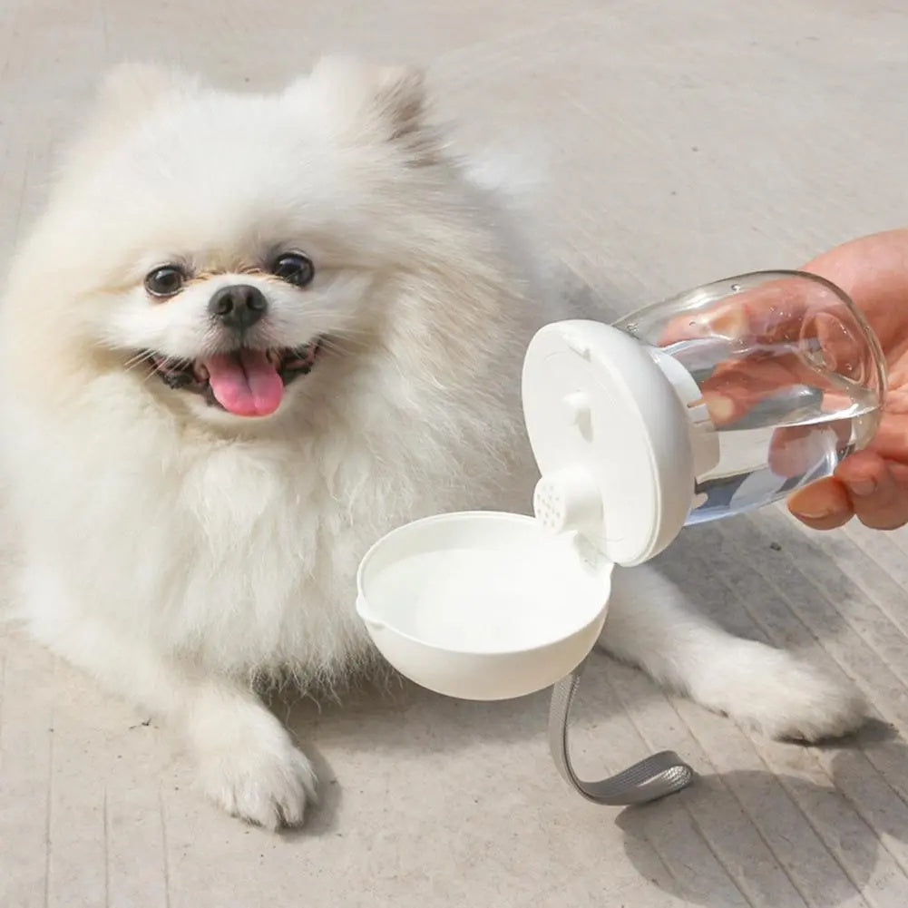 Portable Outdoor Pet Water Bottle