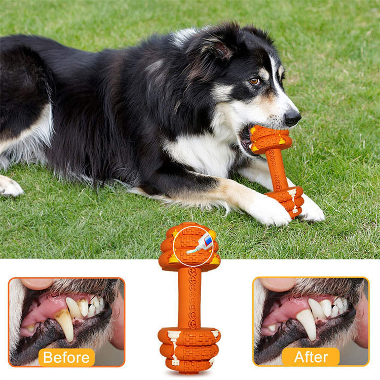 Durable Dog Chew Toys For Aggressive Chewers