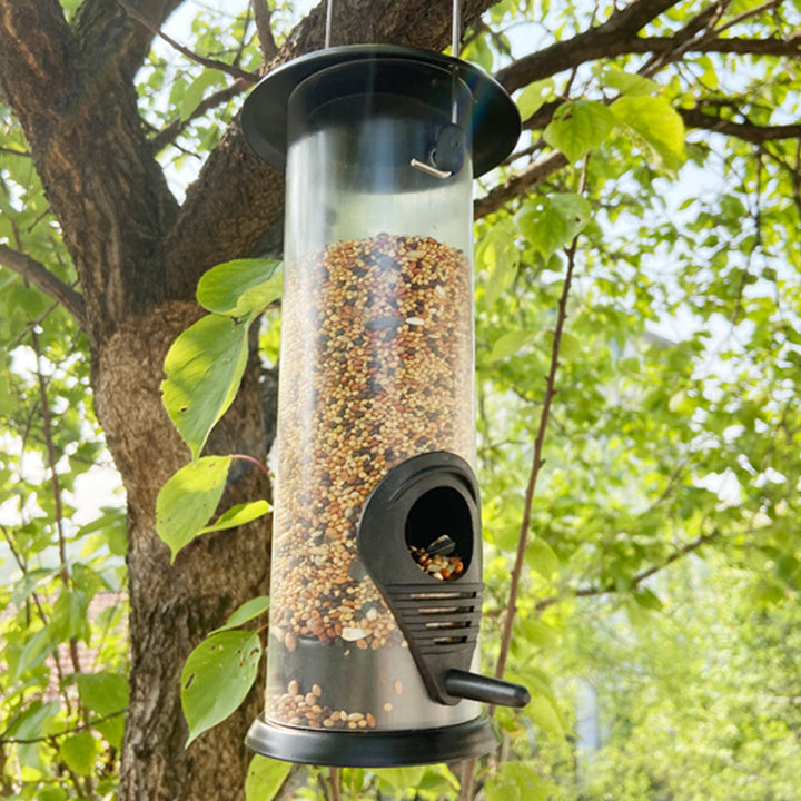 Hanging Automatic Bird Feeder