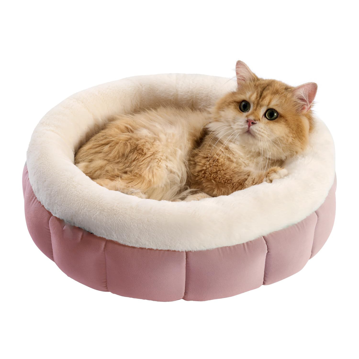 Donut Round Cat Bed