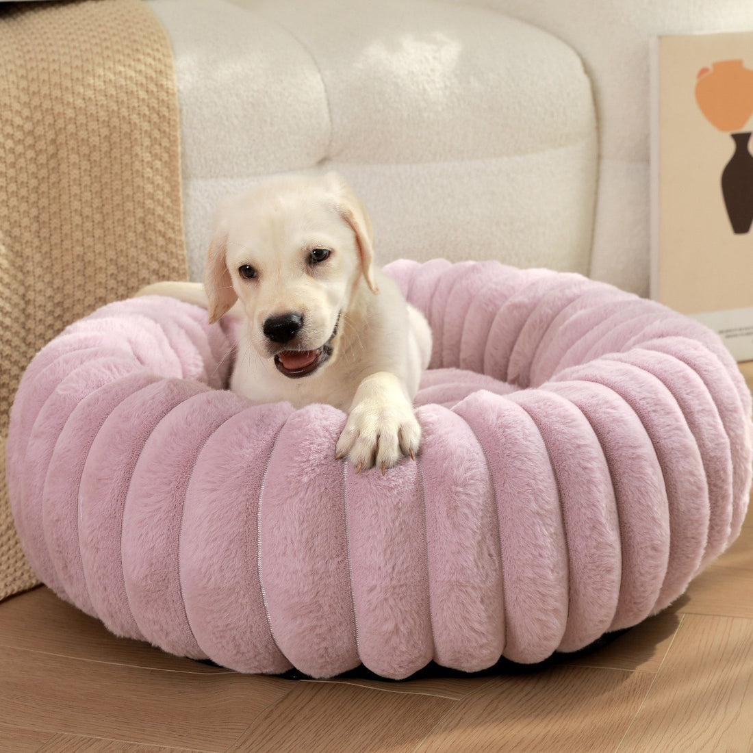 High Weight Pet Straight Rabbit Bed