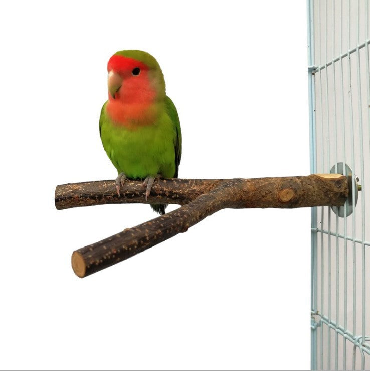 Bird Standing Frame Cage