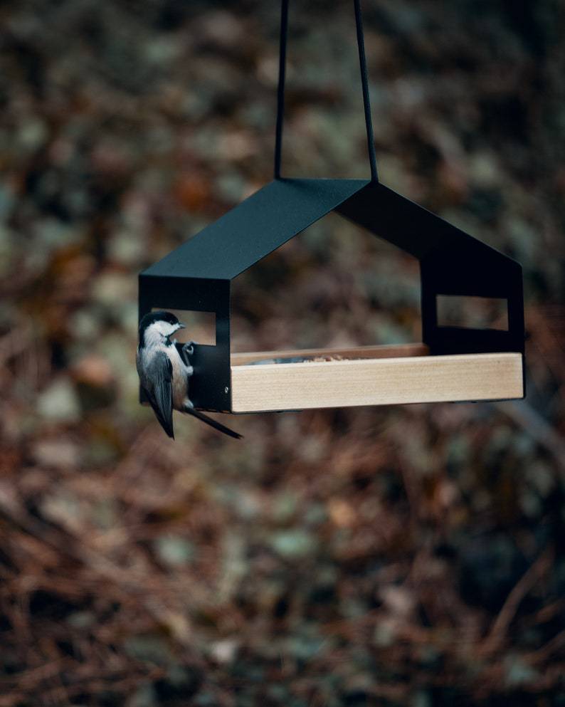 Outdoor Garden Hanging Bird Feeder