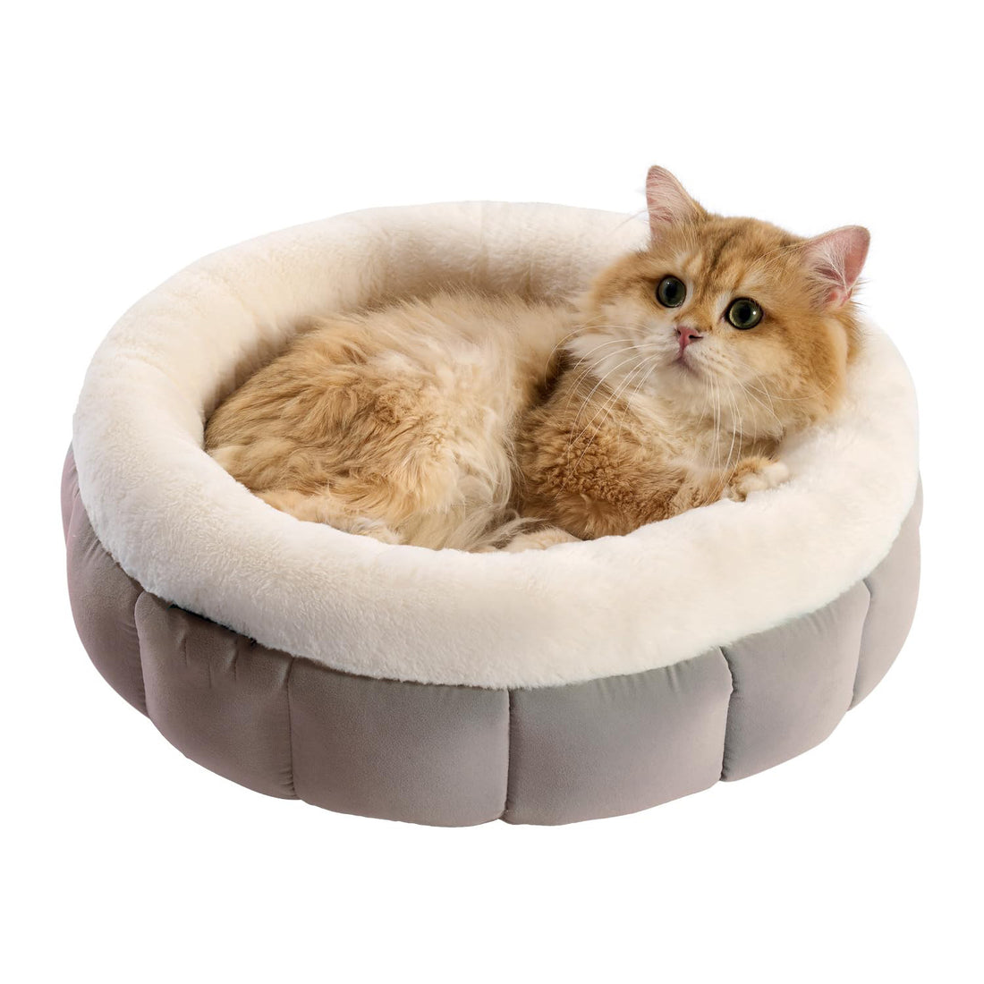 Donut Round Cat Bed