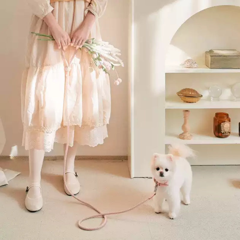 Dog Leather Hand Holding Leash